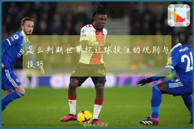 怎么判断世界杯让球投注的规则与技巧