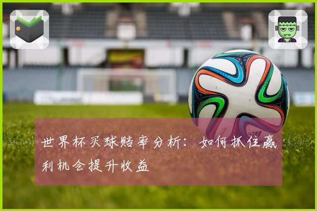 世界杯买球赔率分析：如何抓住赢利机会提升收益