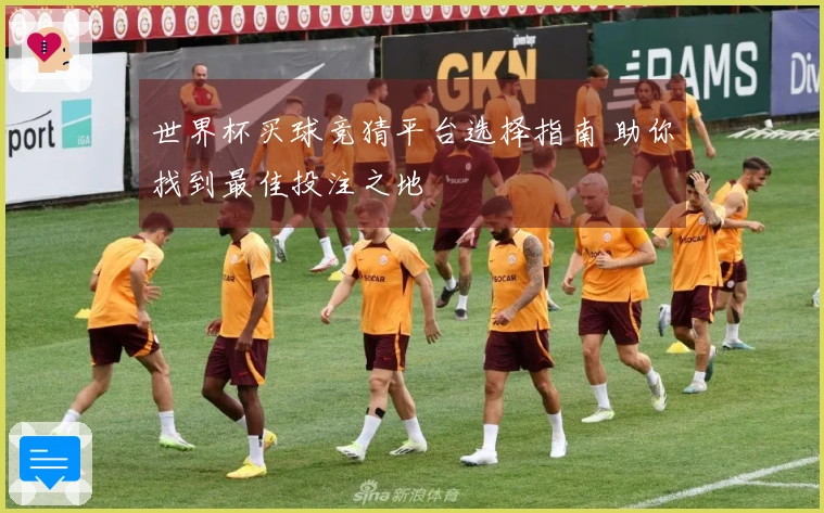 世界杯买球竞猜平台选择指南 助你找到最佳投注之地