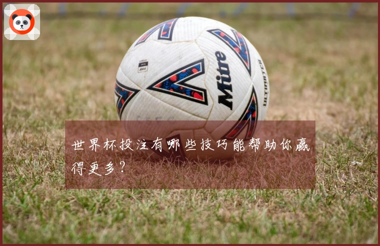 世界杯投注有哪些技巧能帮助你赢得更多？