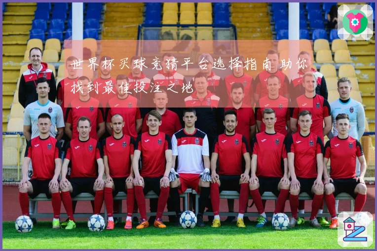 世界杯买球竞猜平台选择指南 助你找到最佳投注之地