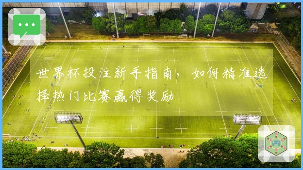 世界杯投注新手指南，如何精准选择热门比赛赢得奖励