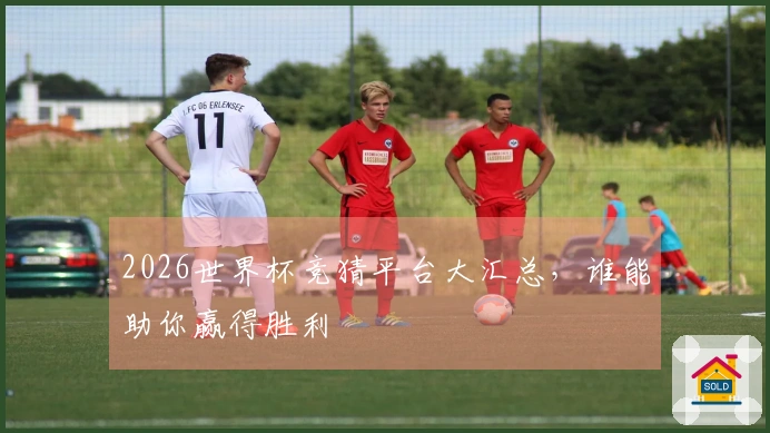 2026世界杯竞猜平台大汇总，谁能助你赢得胜利