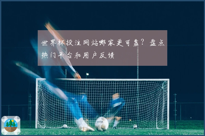 世界杯投注网站哪家更可靠？盘点热门平台和用户反馈