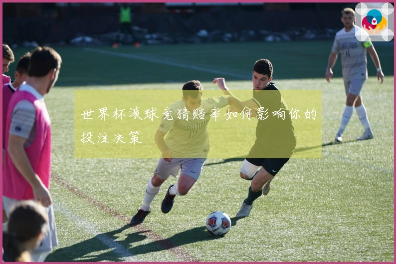 世界杯滚球竞猜赔率如何影响你的投注决策